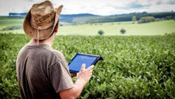 Jornada de Líderes Cooperativistas do AGRO propõe inovação e negócios